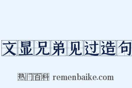 文显兄弟见过造句是什么意思的图片